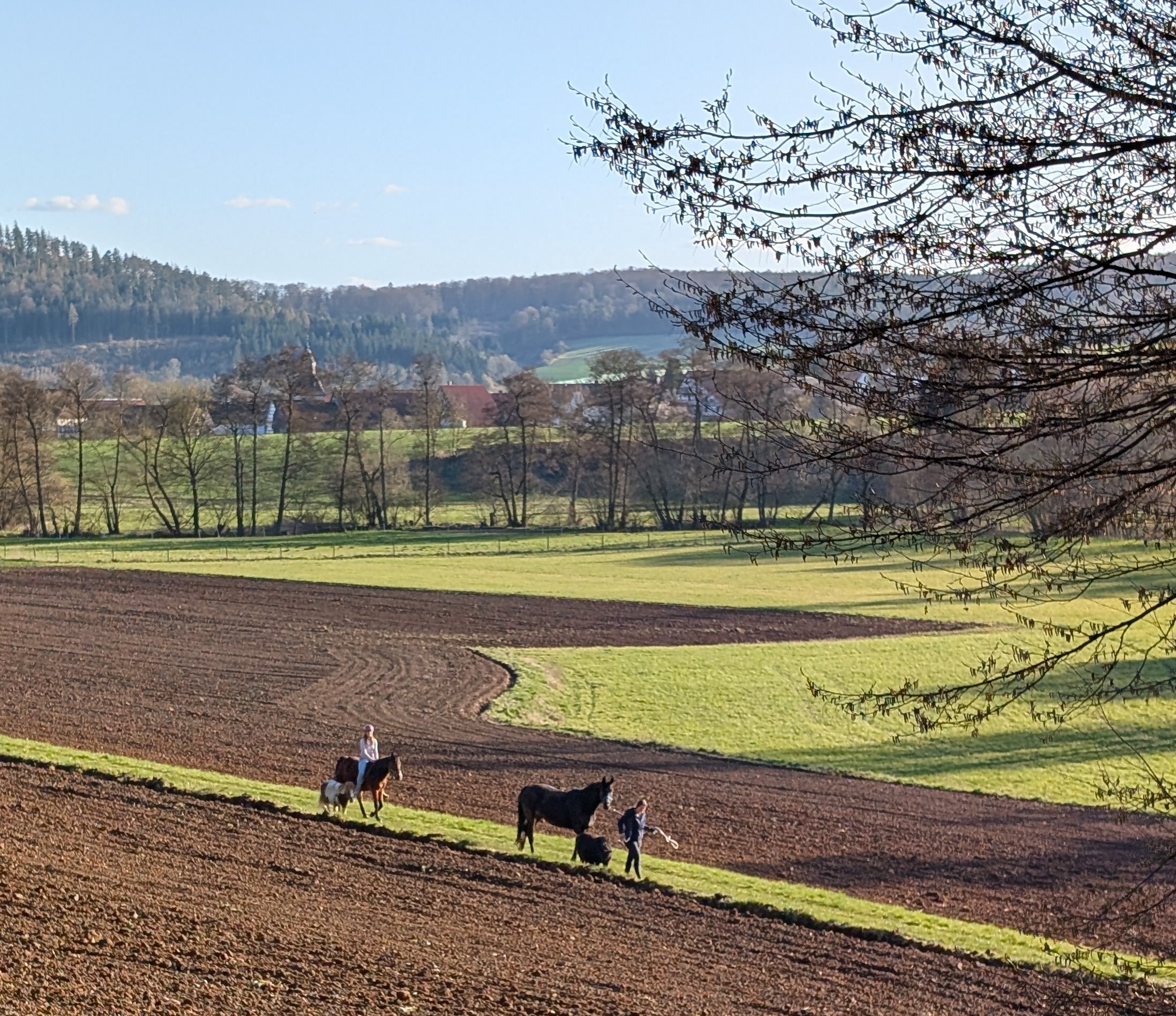 Landschaft_Hessen_1.jpg